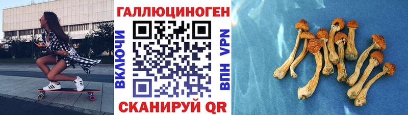 что такое наркотик  Инта  Галлюциногенные грибы мицелий 